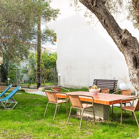 Lemon Garden Pefkochori